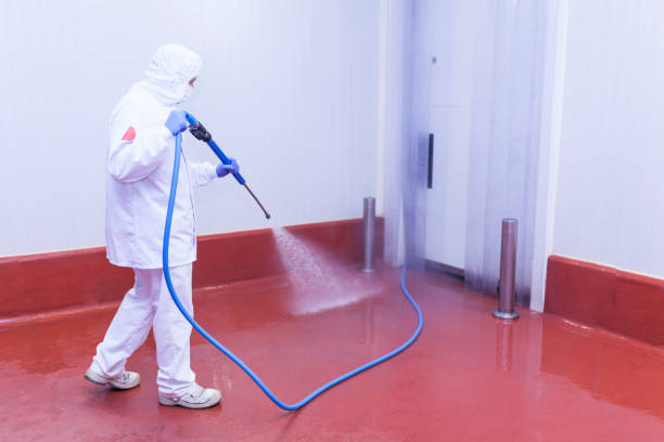 Best Pre-Holiday Cleaning  in Fyffe, AL