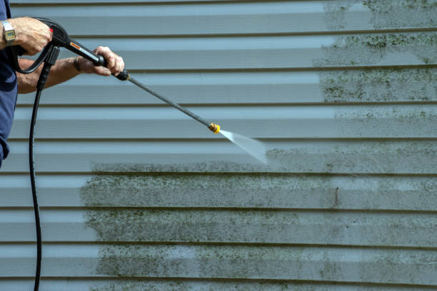 Best Sidewalk and Walkway Cleaning  in Fyffe, AL